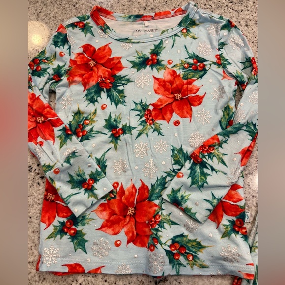 Posh Peanut Banboo Pajamas Christmas Winter 2T - Picture 2 of 7
